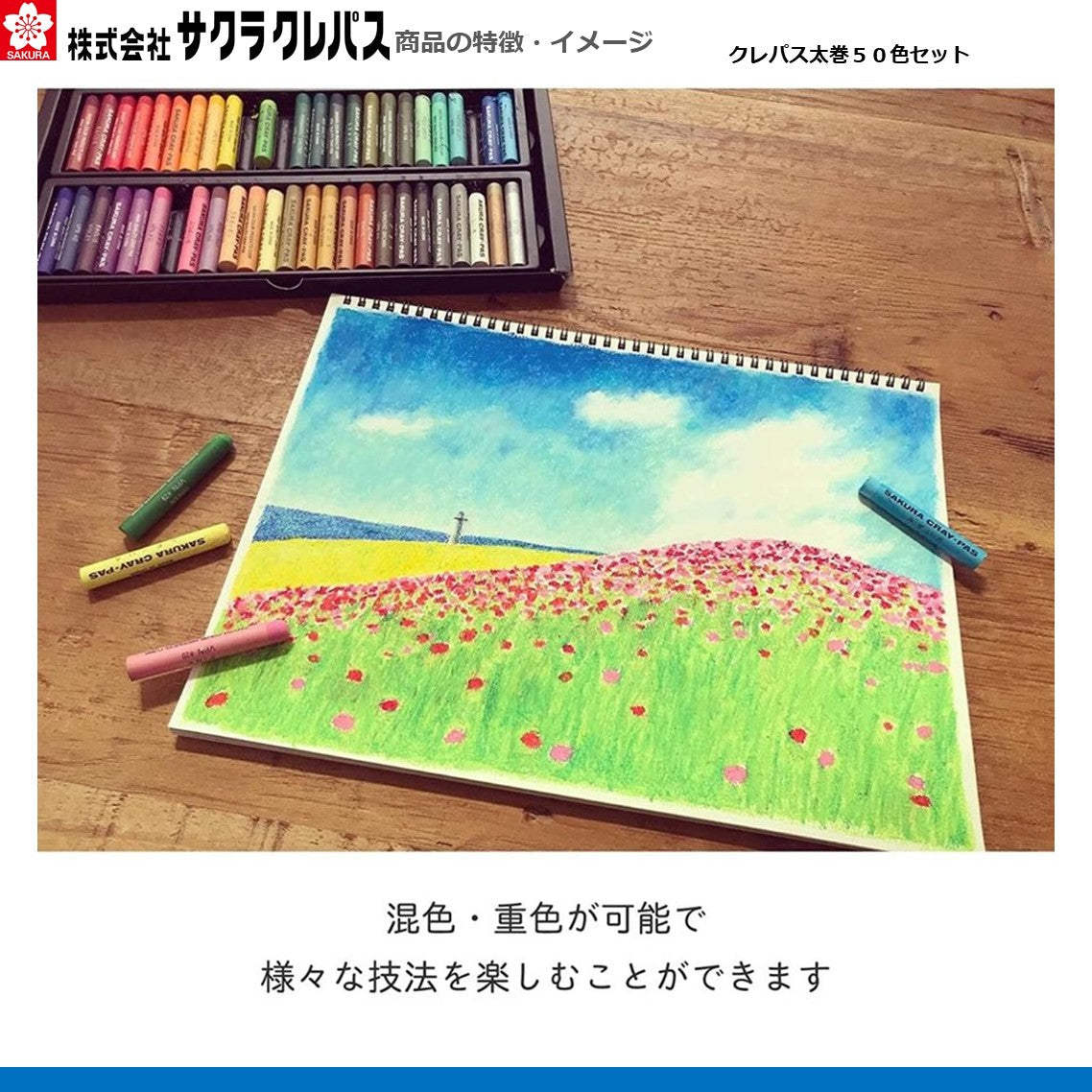 クレパス太巻50色セット
VP50