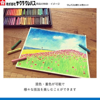 クレパス太巻50色セット
VP50